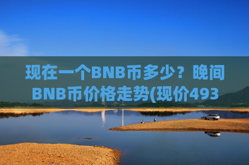现在一个BNB币多少？晚间BNB币价格走势(现价4936.11元)