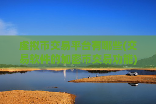 虚拟币交易平台有哪些(交易软件的加密币交易功能)