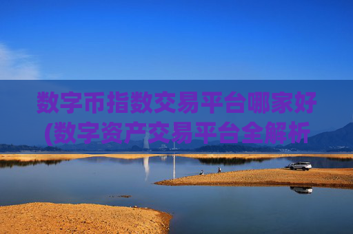 数字币指数交易平台哪家好(数字资产交易平台全解析)