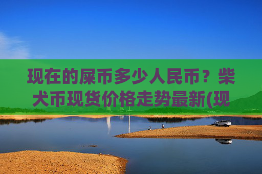现在的屎币多少人民币？柴犬币现货价格走势最新(现价0.00016371元)