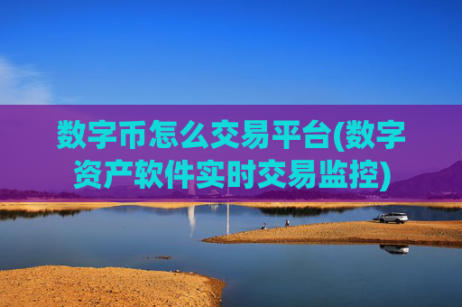 数字币怎么交易平台(数字资产软件实时交易监控)