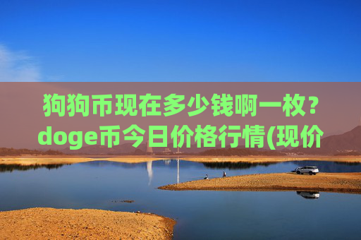狗狗币现在多少钱啊一枚？doge币今日价格行情(现价2.318元)