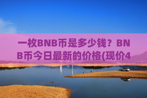 一枚BNB币是多少钱？BNB币今日最新的价格(现价4898.84元)