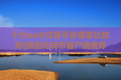 十大usdt交易平台哪家比较好(新型比特币客户端推荐)