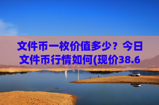 文件币一枚价值多少？今日文件币行情如何(现价38.6023元)