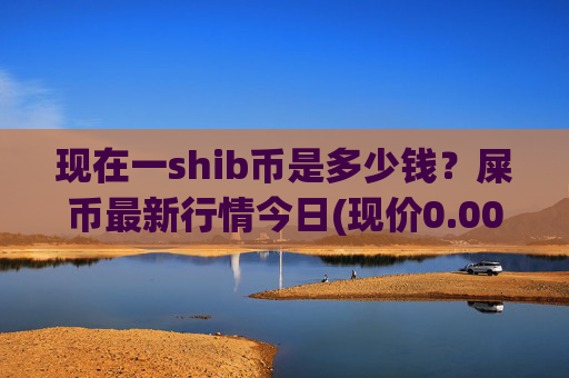 现在一shib币是多少钱？屎币最新行情今日(现价0.00016298元)