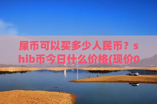 屎币可以买多少人民币？shib币今日什么价格(现价0.00016276元)