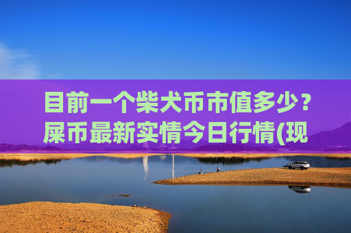 目前一个柴犬币市值多少？屎币最新实情今日行情(现价0.0001616元)