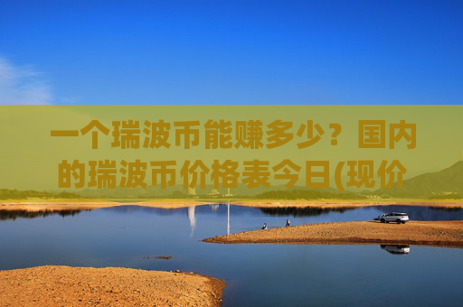一个瑞波币能赚多少？国内的瑞波币价格表今日(现价16.804元)
