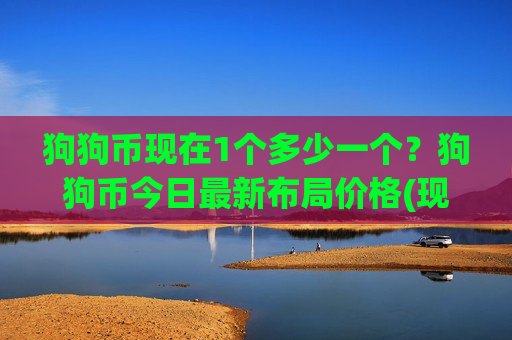 狗狗币现在1个多少一个？狗狗币今日最新布局价格(现价2.3396元)