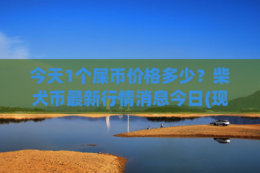 今天1个屎币价格多少？柴犬币最新行情消息今日(现价0.00016145元)