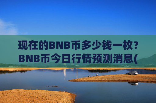 现在的BNB币多少钱一枚？BNB币今日行情预测消息(现价4918.16元)