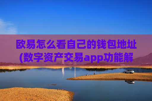 欧易怎么看自己的钱包地址(数字资产交易app功能解析)