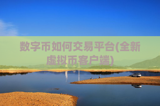 数字币如何交易平台(全新虚拟币客户端)