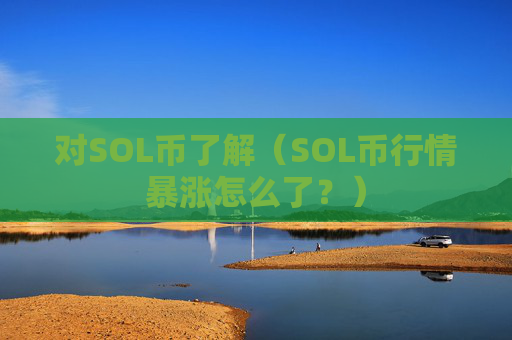 对SOL币了解（SOL币行情暴涨怎么了？）