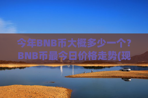 今年BNB币大概多少一个？BNB币最今日价格走势(现价4900.34元)