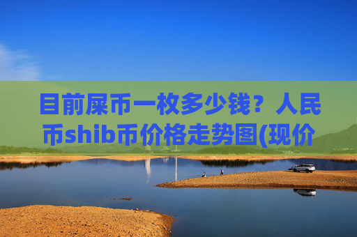 目前屎币一枚多少钱？人民币shib币价格走势图(现价0.0001621元)
