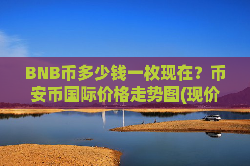 BNB币多少钱一枚现在？币安币国际价格走势图(现价4920.15元)