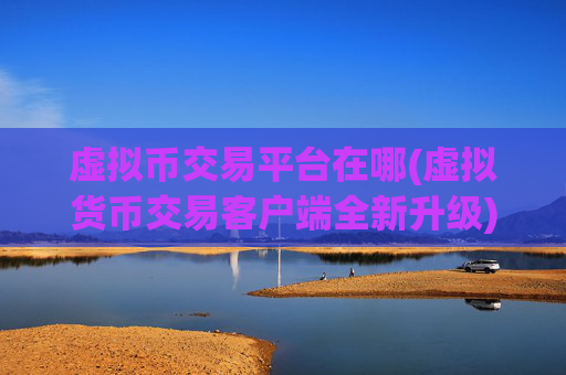 虚拟币交易平台在哪(虚拟货币交易客户端全新升级)