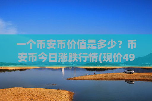 一个币安币价值是多少?币安币今日涨跌行情(现价4942.68元)