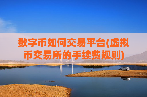 数字币如何交易平台(虚拟币交易所的手续费规则)