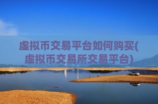 虚拟币交易平台如何购买(虚拟币交易所交易平台)