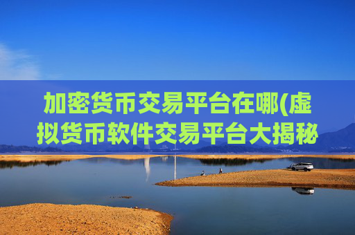 加密货币交易平台在哪(虚拟货币软件交易平台大揭秘)