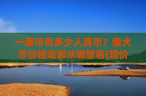 一屎币合多少人民币？柴犬币价格走势从哪里看(现价0.00016285元)