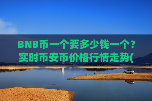 BNB币一个要多少钱一个？实时币安币价格行情走势(现价4947.06元)