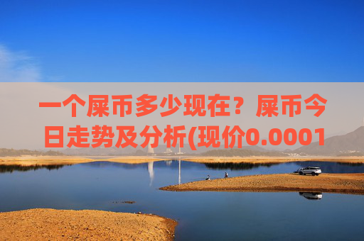 一个屎币多少现在？屎币今日走势及分析(现价0.00016305元)