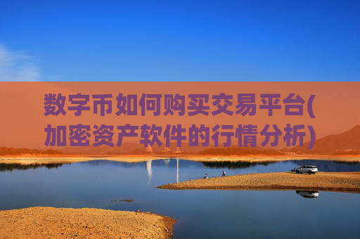 数字币如何购买交易平台(加密资产软件的行情分析)