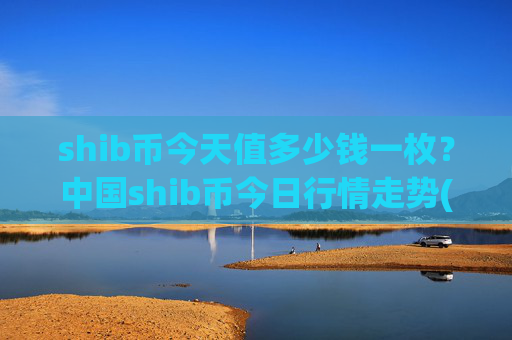 shib币今天值多少钱一枚?中国shib币今日行情走势(现价0.00016269元)