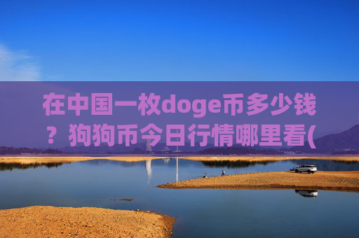 在中国一枚doge币多少钱？狗狗币今日行情哪里看(现价2.3469元)