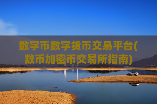 数字币数字货币交易平台(数币加密币交易所指南)