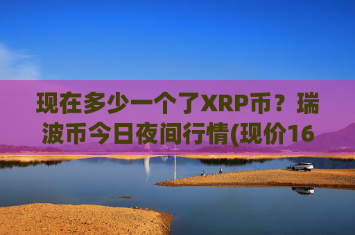 现在多少一个了XRP币？瑞波币今日夜间行情(现价16.9751元)