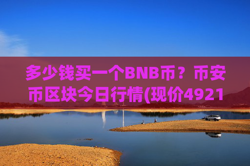 多少钱买一个BNB币？币安币区块今日行情(现价4921.06元)