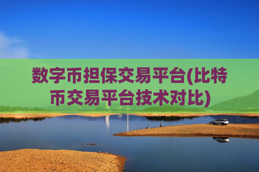 数字币担保交易平台(比特币交易平台技术对比)