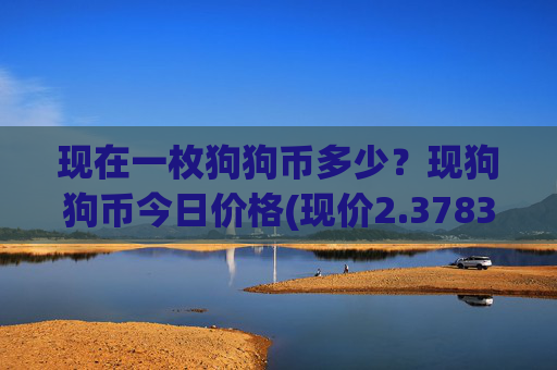 现在一枚狗狗币多少？现狗狗币今日价格(现价2.3783元)