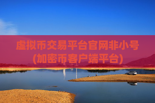 虚拟币交易平台官网非小号(加密币客户端平台)