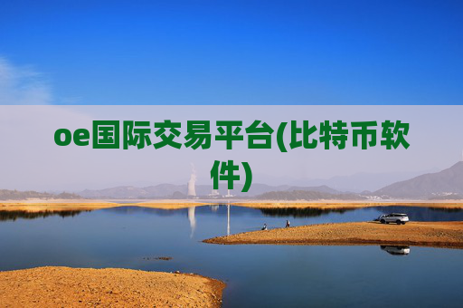 oe国际交易平台(比特币软件)