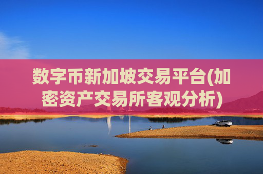 数字币新加坡交易平台(加密资产交易所客观分析)