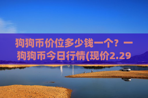 狗狗币价位多少钱一个？一狗狗币今日行情(现价2.2902元)