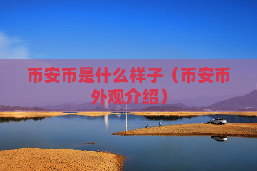 币安币是什么样子（币安币外观介绍）