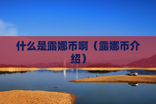 什么是露娜币啊（露娜币介绍）