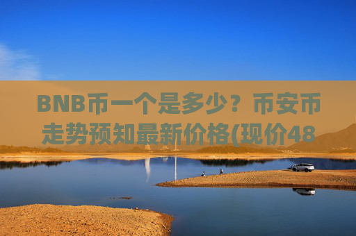 BNB币一个是多少？币安币走势预知最新价格(现价4856.96元)