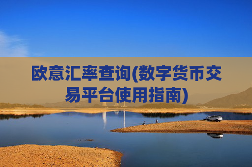 欧意汇率查询(数字货币交易平台使用指南)
