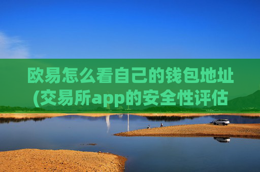 欧易怎么看自己的钱包地址(交易所app的安全性评估)
