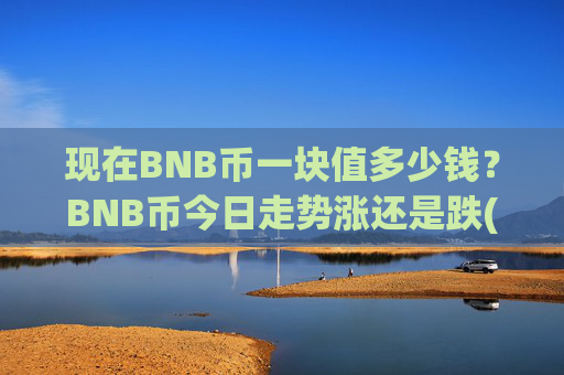 现在BNB币一块值多少钱？BNB币今日走势涨还是跌(现价4887.97元)