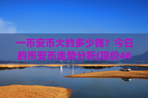 一币安币大约多少钱？今日的币安币走势分析(现价4893.22元)