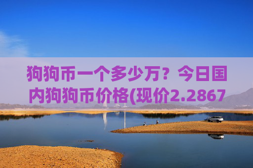 狗狗币一个多少万？今日国内狗狗币价格(现价2.2867元)